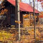 main-cabin-5 by Rena Upitis